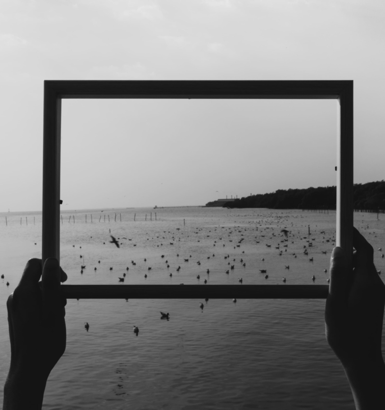 piekno-natury-outdoors-outside-swiatlo-sloneczne (1)